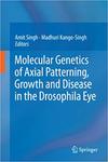 Molecular Genetic Mechanisms of Axial Patterning: Mechanistic Insights into Generation of Axes in the Developing Eye