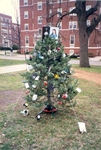 Christmas on Campus Tree Decorating Contest by University of Dayton