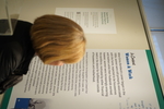 Gallery View: Visitor Reads About the Context of Women in the Workforce by University of Dayton