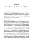 Chapter IX — Derailed Modernization: The Ethnonationalist Phase