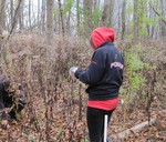 Seed and Seedling Data from Sugarcreek Metropark Restoration Experiment