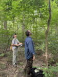 Elm Tree Bark Identification by University of Dayton. McEwan Lab