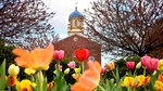 Background Image: Immaculate Conception Chapel, West Façade in Springtime