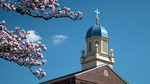 Background Image: Immaculate Conception Chapel, View of West Gable and Blue Cupola in Spring