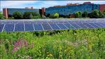 Background Image: Solar Prairie, West Lawn of Daniel J. Curran Place