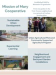 Mission of Mary Cooperative: Community Engagement Project by Rachel Veneman