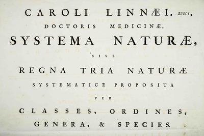 Linnaeus, System of Nature