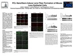 PCL Nanofibers Induce Lens Fiber Formation of Mouse Lens Epithelial Cells