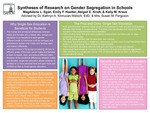 Research exercise: Syntheses of Research on Gender Segregation in Schools