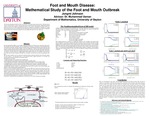 Research exercise: Mathematical Study of the Foot and Mouth Outbreak Model