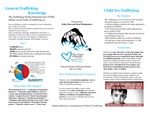 Research exercise: Human Trafficking: An Explanation of Child Sex Trafficking.