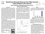 Denatonium Benzoate Removal from Water Sources Using Oxidation with Chlorine