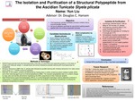Research exercise: The Isolation and Purification of a Structural Polypeptide from the Ascidian Tunicate Styela plicata