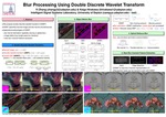 Blur Processing Using Double Discrete Wavelet Transform