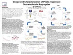 Design and Characterization of Photo-responsive Supramolecular Aggregates