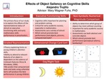 Research exercise: of Object Saliency on Early Mathematics and Cognitive Skills