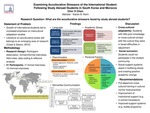 Examining Acculturative Stressors of the International Student: Following Study Abroad Students in South Korea and Morocco