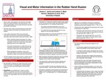 Visual and Motor Information in the Rubber Hand Illusion