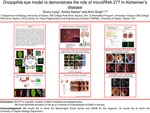 Research exercise: Drosophila eye model to demonstrate the role of microRNA-277 in Alzheimer's disease