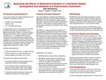 Behavioral Activation in a Homeless Shelter: Development and Validation of the Behavioral Activation Treatment Efficacy Measure