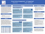 Cross-Cultural Engagement:  Is it happening?