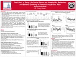The Effect of Early Life Social Stress on Anxiety-like Behaviors and Ethanol Drinking in Female Long-Evans Rats