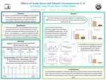 Effects of Acute Stress and Ethanol Consumption on IL-1β in Female Long Evans Rats: A Pilot Study