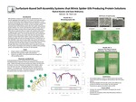 Surfactant-Based Self-Assembly Systems that Mimic Spider-Silk Producing Protein Sols