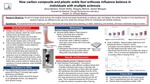 How carbon composite and plastic ankle foot orthoses influence balance in individuals with multiple sclerosis