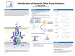 Identification of Bacterial Efflux Pump Inhibitors