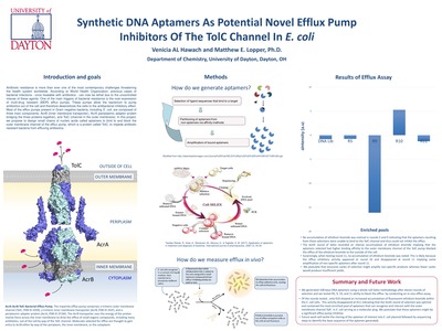 "Synthetic aptamers as potential novel efflux pump inhibitors of the To"