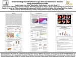 Understanding the Link between Sugar Diet and Alzheimer’s Disease using Drosophila Eye Model