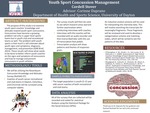Youth Sport Concussion Management