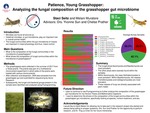 Patience, Young Grasshopper: Identifying the fungal composition of the grasshopper microbiome
