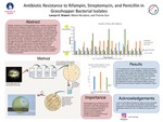 Antibiotic Resistance to Rifampin, Streptomycin, and Penicillin in Grasshopper Bacterial Isolates