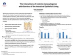 The Effects of Propionate on the Interactions of Listeria monocytogenes with the Mucosal Barrier