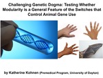Challenging Genetic Dogma: Testing Whether Modularity is a General Feature of the Switches that Control Animal Gene Use