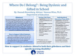 Where Do I Belong? Dyslexia and High Achievement in school