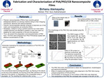 Fabrication and Characterization of PVA/PEO/CB Nanocomposite Films