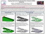 Topology Optimization Results Spaceframe Interpreter (TORSI)