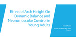 Effect of Arch Height on Dynamic Balance and Neuromuscular Control in Young Adults