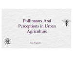 Is urban farming the bee's knees? A socio-ecological study on the effect of pollinator recruitment methods on pollinator communities in urban agriculture.