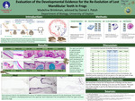 Evaluating the Developmental Evidence for the Re-Evolution of Lost Mandibular Teeth in Frogs