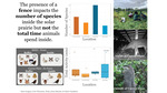 Photographing Wildlife: Analysis of Species Richness and Activity in and around Solar Prairies