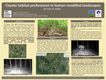 Coyote Habitat Preferences in Human-modified Landscapes