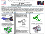A Topology Optimization Results Spaceframe Interpreter for the Design of Lightweight Aircraft Structures