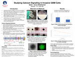 Understanding Calcium Signaling in Invasive GBM Cells in a Microfluidic Model