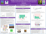 The effects of prairie seed mix composition and soil amendments on Quercus macrocarpa seedling success during post-agricultural restoration