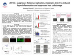 ZFP36L1 suppresses Rotavirus and Norovirus replication, moderates the virus-induced hyperinflammation and suppresses host cell damage.