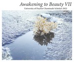 Awakening to Beauty, Volume VII by University of Dayton. University Honors Program and Angela Ann Zukowski
